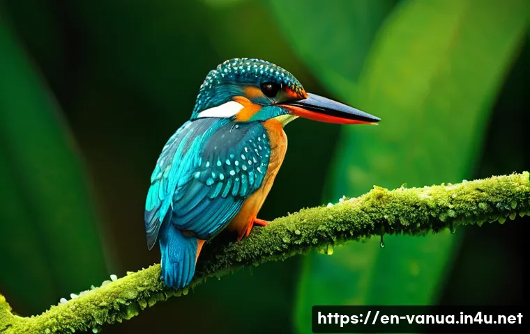 바누아투의 대표 동물 - **Vanuatu Kingfisher in Espiritu Santo Forest**
    A highly detailed, photorealistic image of a vib...